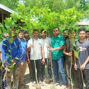 বৃক্ষরোপণ কর্মসূচি ২০২৬ — বিশ্ব পরিবেশ দিবস
