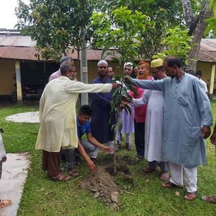 বৃক্ষরোপণ কর্মসূচি ২০২৬ — বিশ্ব পরিবেশ দিবস