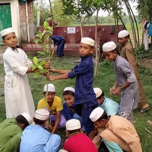 বৃক্ষরোপণ কর্মসূচি ২০২৬ — বিশ্ব পরিবেশ দিবস