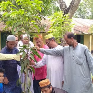 বৃক্ষরোপণ কর্মসূচি ২০২৬ — বিশ্ব পরিবেশ দিবস