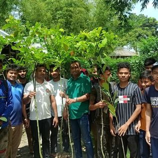 বৃক্ষরোপণ কর্মসূচি ২০২৬ — বিশ্ব পরিবেশ দিবস