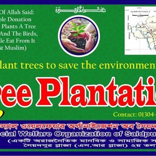 বৃক্ষরোপণ কর্মসূচি ২০২৬ — বিশ্ব পরিবেশ দিবস